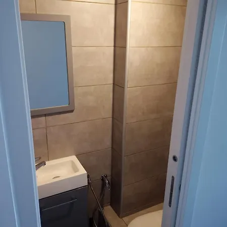 Parc Phoenix ホームステイ ニース