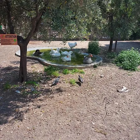 Parc Phoenix *