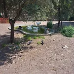 Parc Phoenix *