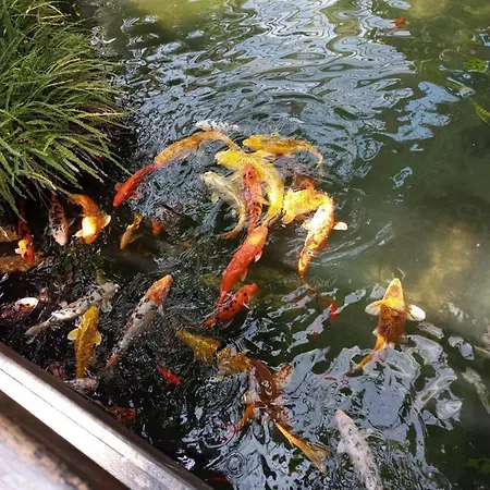 Parc Phoenix Kwatera prywatna