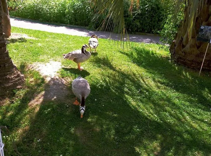 Parc Phoenix