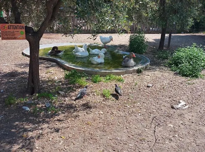 Parc Phoenix *
